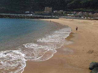 Estacada Apartment - Machico - 6