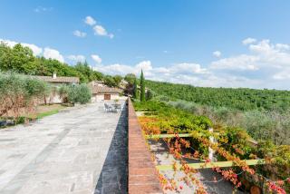 Mietitore a Montefiorile - Gaiole in Chianti - 5