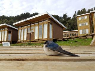 Espacio Rio Chovellen - Curanipe - 9