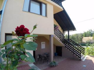 Apartment Ante - Slunj - 7