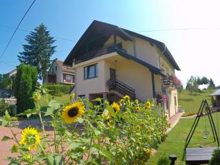 Apartment Ante - Slunj - 4