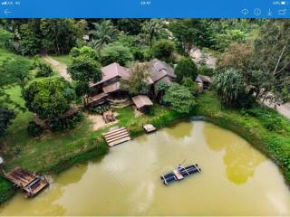 Khao Sok Homestay Resort - Parco Nazionale di Khao Sok - 7