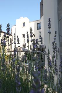 Hotel De France - Valence - 2