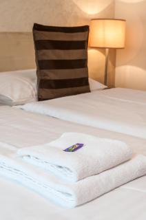 Hotel U Kašny - Rajhrad - 6