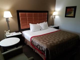 Ramada by Wyndham Temple Terrace/Tampa North - 8