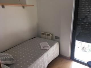 Apartament Centre Històric a Olot - 1