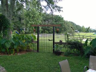 Kokomo Farms - Live Oak - 6
