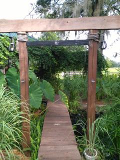 Kokomo Farms - Live Oak - 2