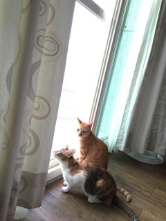 Beauty Home Homestay - Hualien - 6