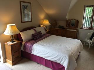 The Lavender Room - Saundersfoot - 6