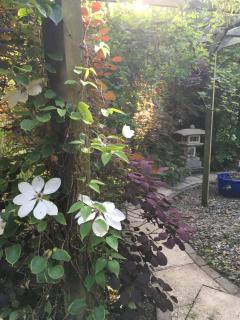 The Lavender Room - Saundersfoot - 1