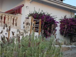 Finca Sa Cova de Mallorca - Sencelles - 3