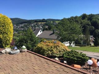 Modern Apartment in Niedersfeld with Sauna - Winterberg - 9