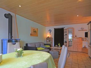 Modern Apartment in Niedersfeld with Sauna - Winterberg - 0