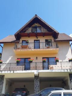 Casa Gabi - Bran - 4