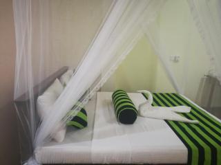 Dinaro Guest - Ella - 9
