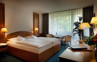 Hotel Fontana - Bad Kissingen - 3