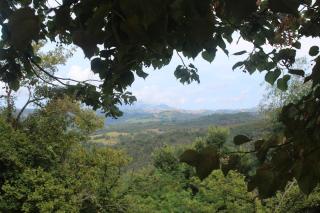 Cottage in montagna Montemonaco - 1