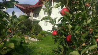 Agritur Melissa - Croviana - 5