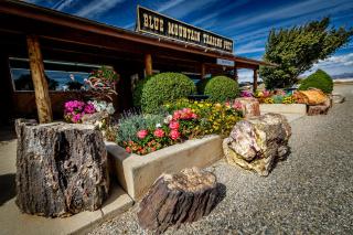 Blue Mountain RV Park - Blanding - 8