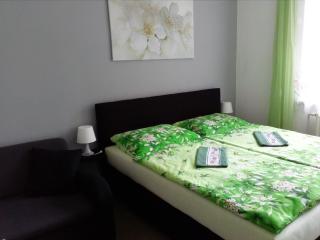 Apartmány Sluníčko - Nová Bystřice - 5
