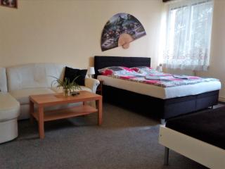 Apartmány Sluníčko - Nová Bystřice - 7