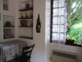 Cottage Poppy - 4