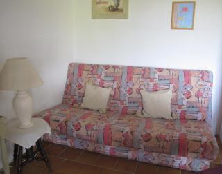Cottage Poppy - 1