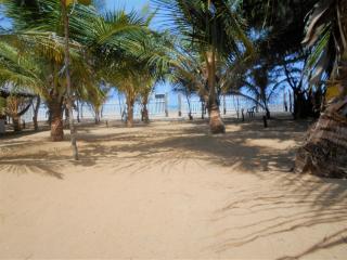 Shim Beach Resort - Arugam Bay - 0