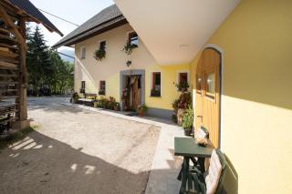Farmhouse pri Miklavu - Bohinj - 5