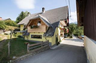 Farmhouse pri Miklavu - Bohinj - 3