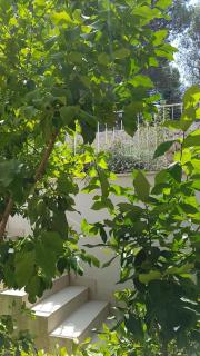 Apartman Di - Mali Lošinj - 2