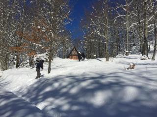 Villa Bodulica - Secluded Mountain Retreat and gateway to Plitvice Lakes - Delići - 9