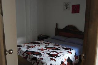 Sergeant Pepper's Hostel - Jardin - 1
