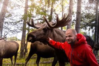 Moose Garden - Orrviken - 4
