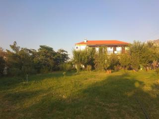 Panorama Palaiοpolis - Palaiopoli - 5