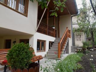 Guest House Kartuli Suli - Telavi - 0