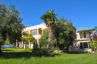 Lemoni Apartments - Pelekas - 5