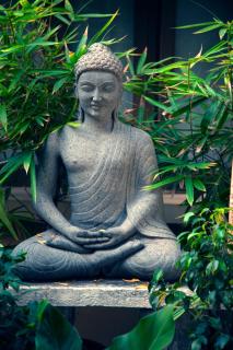 Hanu Reddy Residences Poes Garden - Chennai - 1