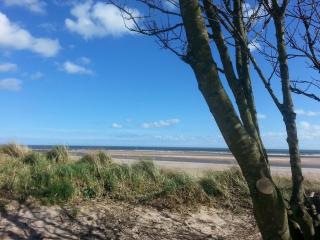 Estuary View Caravans - 3