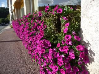 Hotel Alienor - 2
