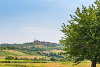 Belcasale - Vignale Monferrato - 4