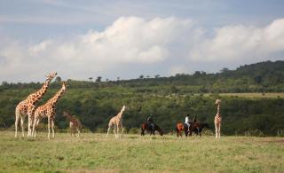 The Aberdare Country Club - Mweiga - 4