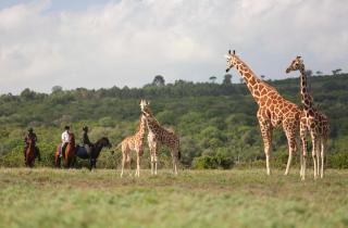 The Aberdare Country Club - Mweiga - 2
