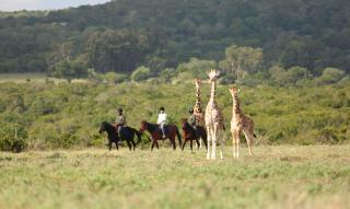 The Aberdare Country Club - Mweiga - 1