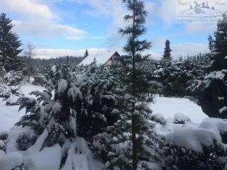 FeWo Eulennestchen-Harz - Altenau - 5
