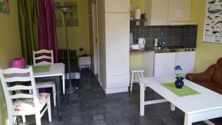 Milas House two apartments - Fredvang - 3