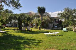 Lemoni Apartments - Pelekas - 4