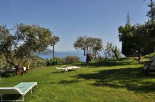 Lemoni Apartments - Pelekas - 9