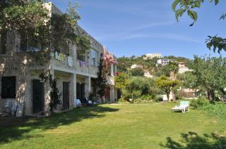 Lemoni Apartments - Pelekas - 0